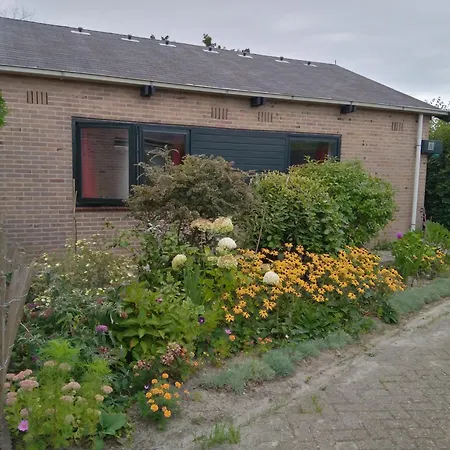 Gemuetliches An Der Kueste Nordholland Sint Maartenszee Boerenslag 5 Sint Maartensvlotbrug